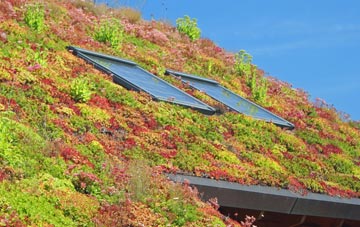 Wickham Heath living roof systems
